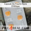 Africa Black Ant Capsule 24